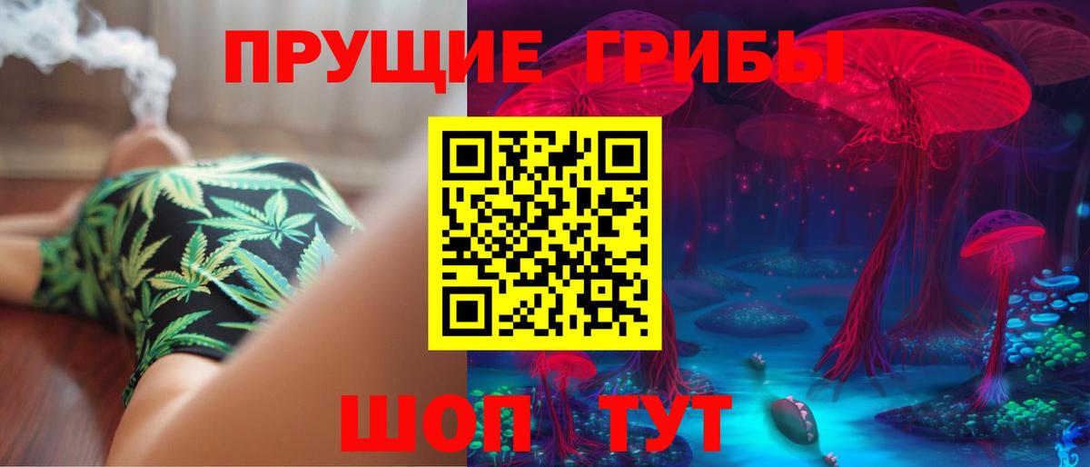 Псилоцибиновые грибы GOLDEN TEACHER Сунжа