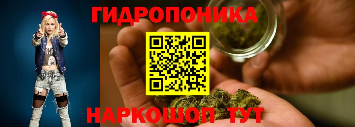 Канабис план Сунжа